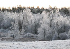 Camp Caravan in winter